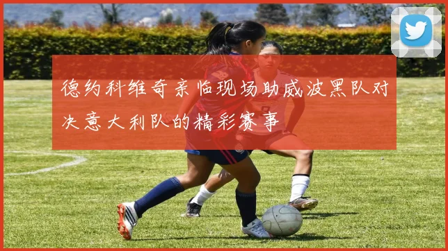 德约科维奇亲临现场助威波黑队对决意大利队的精彩赛事